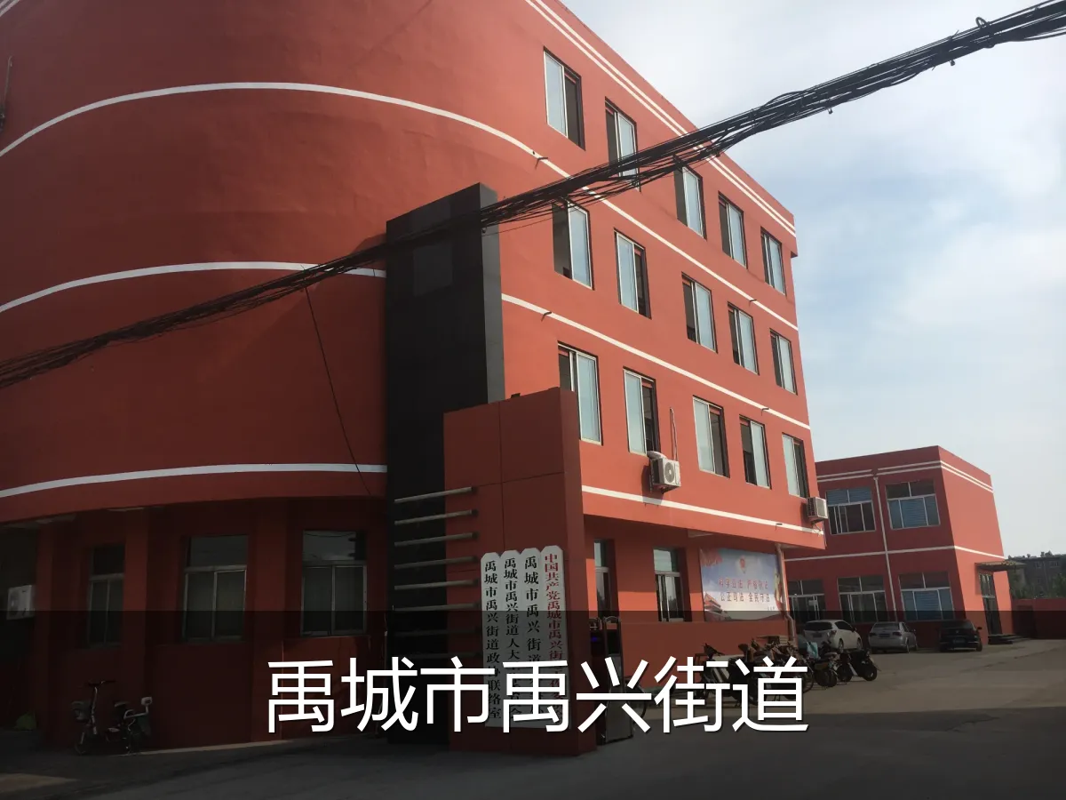 禹城市禹兴街道