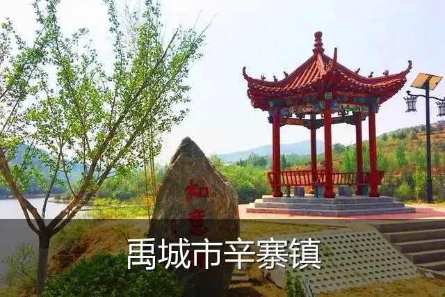 禹城市辛寨镇
