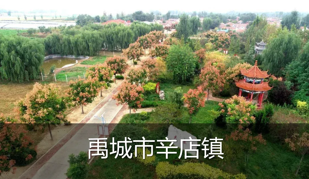 禹城市辛店镇